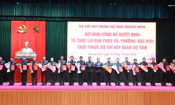 Tổ chức lại Ban CHQS xã, phường, đặc khu trực thuộc Bộ CHQS tỉnh