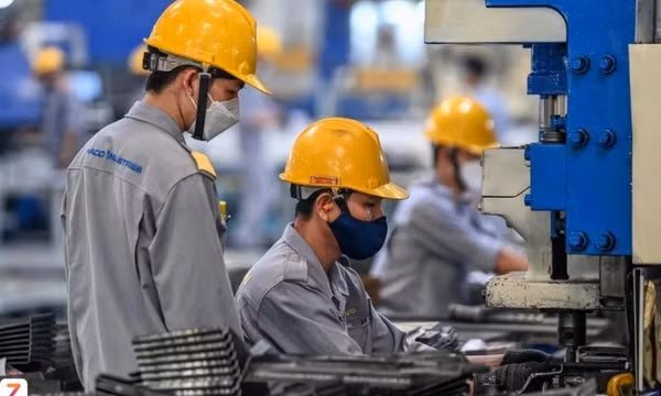 Việt Nam có gần 300.000 doanh nghiệp mới năm 2025