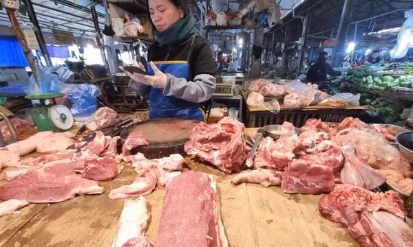 Lý do giá thịt heo tăng mạnh