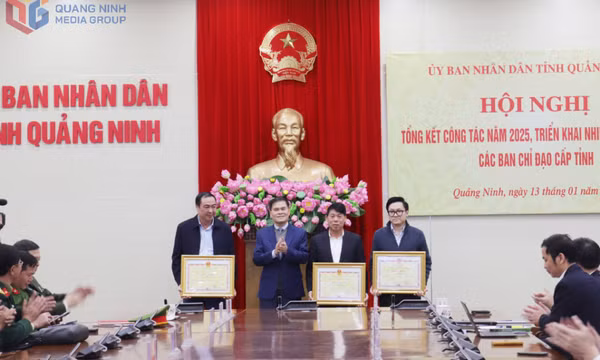 Các Ban chỉ đạo tỉnh Quảng Ninh triển khai nhiệm vụ năm 2026