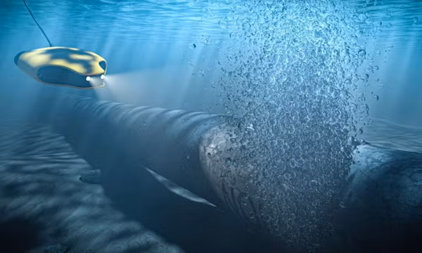 Vì sao Ba Lan bất ngờ trở thành tâm điểm cuộc điều tra vụ nổ đường ống Nord Stream?
