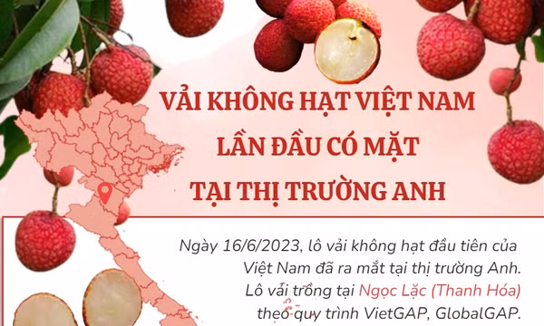 Các loại trái cây Việt Nam được xuất khẩu sang thị trường Anh