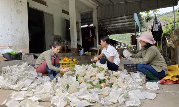 Đổi thay ở Vạn Yên