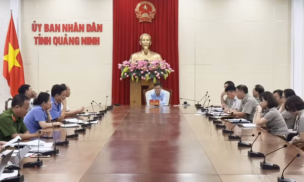 Ban chỉ đạo Thi hành án dân sự tỉnh đánh giá kết quả hoạt động 6 tháng