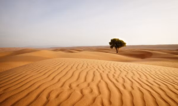 Những sự thật thú vị về sa mạc Sahara