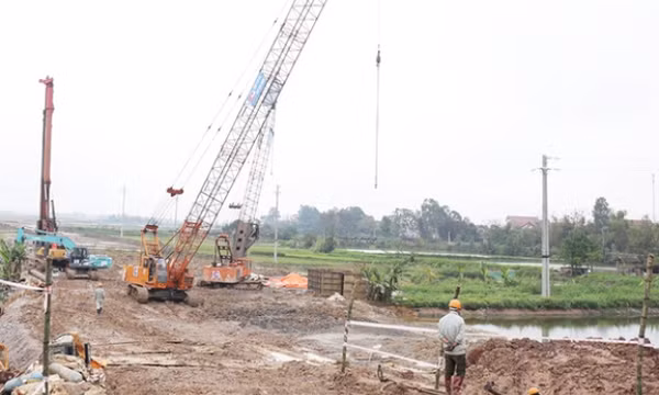 Quy định về bồi thường đối với cây trồng, vật nuôi