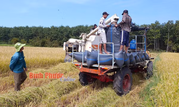 Bình yên một dải biên cương