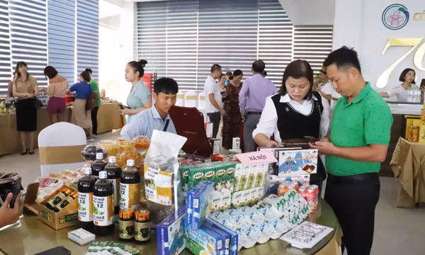 Giải pháp phát triển doanh nghiệp, hợp tác xã