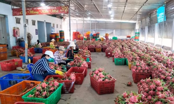 Nông sản Việt đắt khách tại châu Á