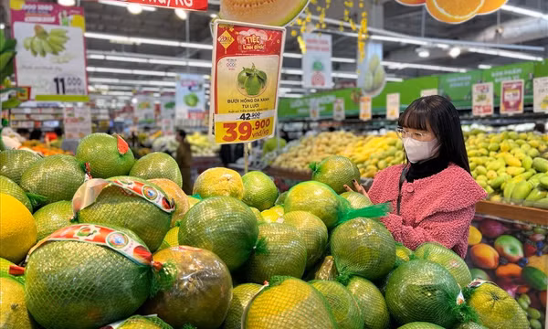 Tiếp tục hoàn thiện quy định kiểm tra Nhà nước về chất lượng hàng hóa