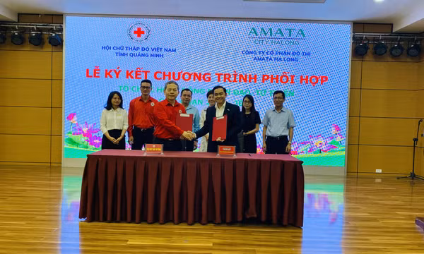 Hội Chữ thập đỏ tỉnh triển khai nhiệm vụ 6 tháng cuối năm