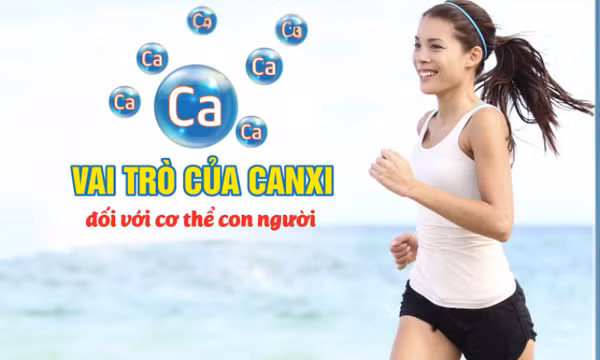 Vai trò của canxi đối với cơ thể
