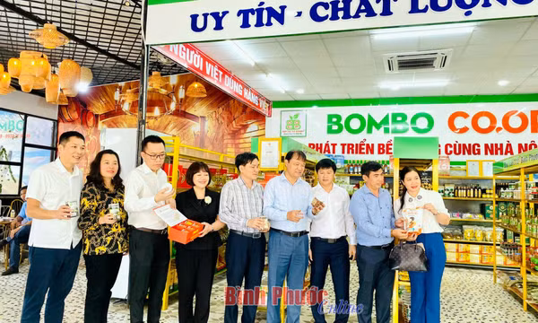 Bài 2: Lối đi riêng cho kinh tế tập thể 