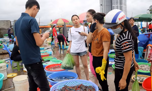 Chợ cá sớm giữa lòng thành phố biển