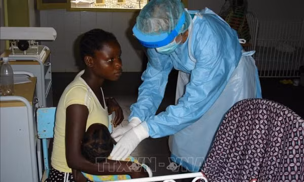 WHO tuyên bố chấm dứt đợt bùng phát do virus Marburg tại Guinea Xích đạo