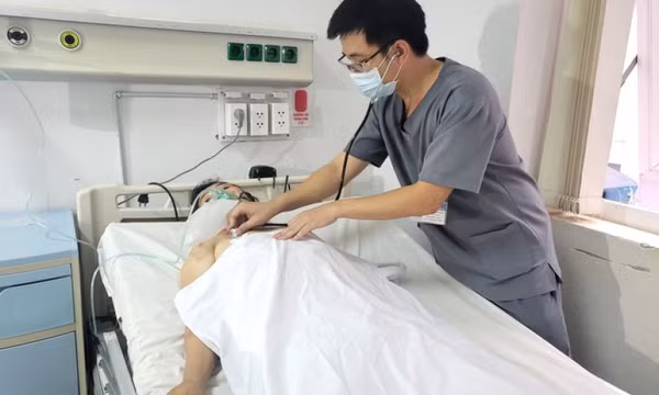 Ăn nấm mọc từ xác nhộng ve sầu, 6 người nhập viện 