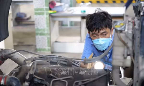 Từ chối đăng kiểm phương tiện vi phạm nhưng không nộp phạt nguội