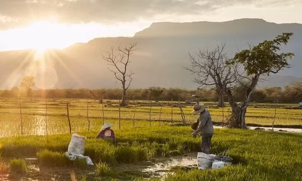 Vẻ đẹp bên sông Mekong ở Lào