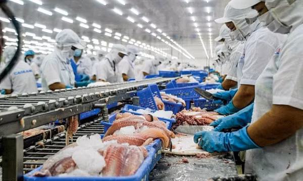 Nương nhờ xuất khẩu, giá cá tra sẽ phục hồi trong nửa cuối năm