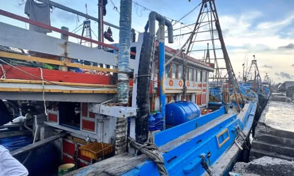Hai người tử vong nghi do ngạt khí hầm cá