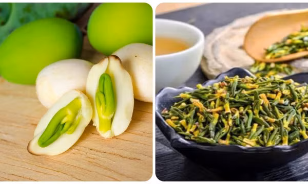 Tâm sen có tác dụng gì?