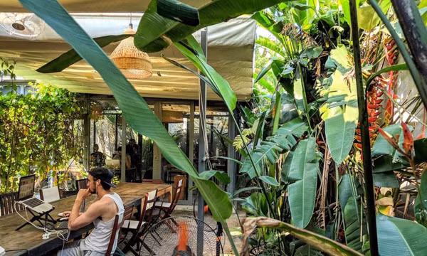 Việt Nam: Điểm đến lý tưởng để du lịch kết hợp làm việc từ xa