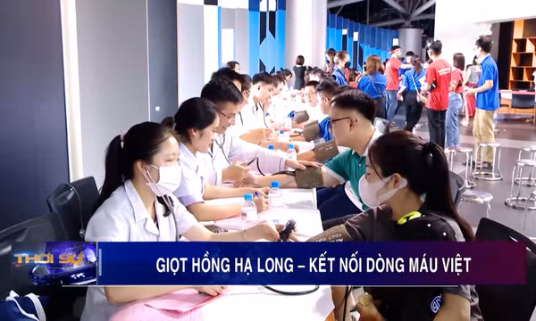 Giọt hồng Hạ Long – Kết nối dòng máu Việt