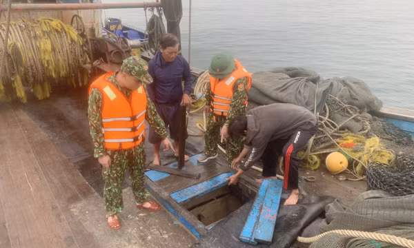 Bảo vệ, khai thác bền vững nguồn lợi thủy sản