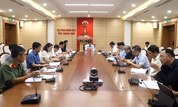 Tiếp tục hoàn thiện Đề án thí điểm mô hình kinh tế ban đêm trên địa bàn tỉnh Quảng Ninh