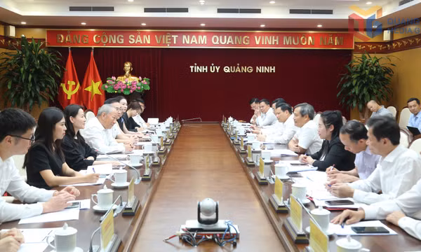 Quảng Ninh làm việc với Tập đoàn Xây dựng Thái Bình Dương (Trung Quốc) và Tập đoàn FPT