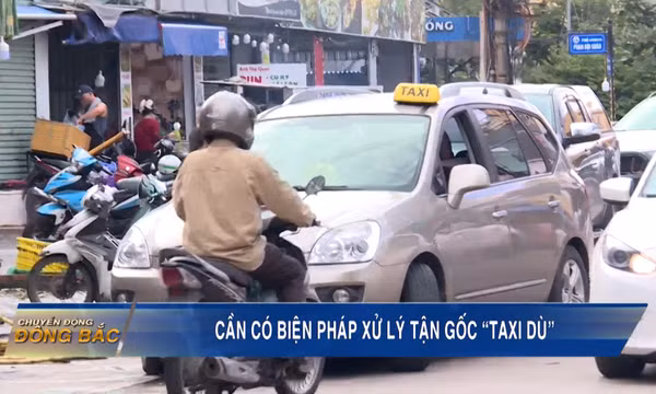 Cần có biện pháp xử lý tận gốc “taxi dù”