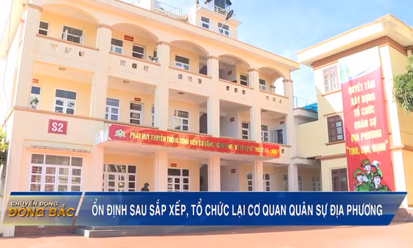 Ổn định sau sắp xếp, tổ chức lại cơ quan quân sự địa phương