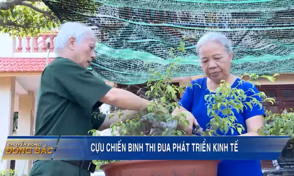 Cựu chiến binh thi đua phát triển kinh tế