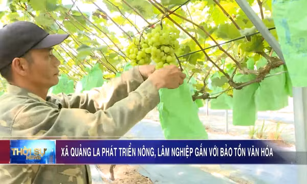 Xã Quảng La phát triển nông, lâm nghiệp gắn với bảo tồn văn hóa