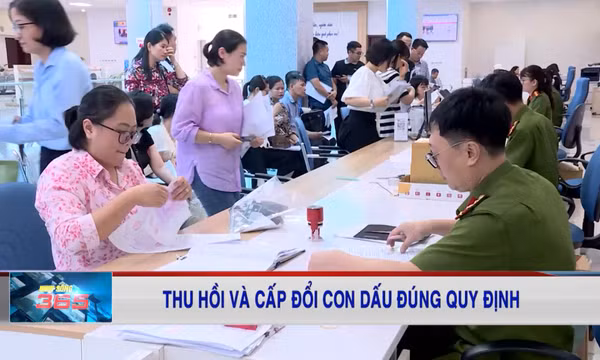 Thu hồi và cấp đổi con dấu đúng quy định