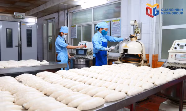 Qua đôi bàn tay của những “Bông hoa mỏ”, bánh mì mỏ không những mang lại dinh dưỡng giữa ca cho thợ, mà còn mang lại thương hiệu món ăn đặc sản cho Quảng Ninh. 