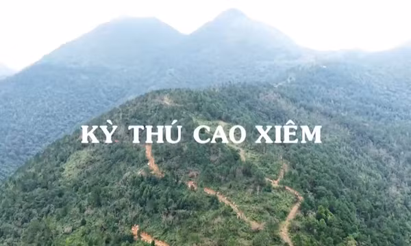 Kỳ thú Cao Xiêm