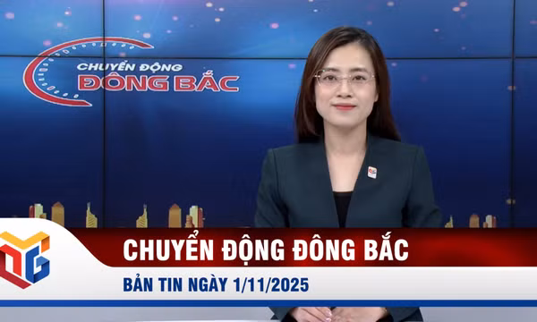 Chuyển động Đông Bắc ngày 1/11/2025