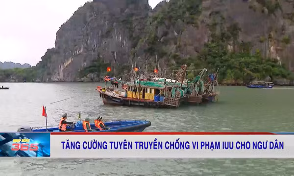 Tăng cường tuyên truyền chống vi phạm IUU cho ngư dân