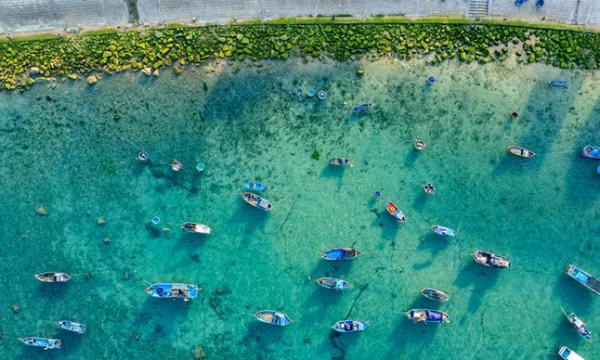 Bãi đá hình vòng cung ở Quy Nhơn hóa 'dải lụa xanh' hút khách check-in