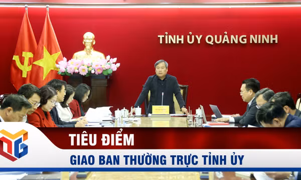 Giao ban Thường trực Tỉnh ủy