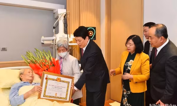 Nguyên Chủ tịch nước Trần Đức Lương nhận Huy hiệu 65 năm tuổi Đảng