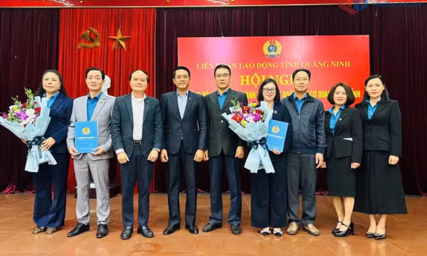 Tái cơ cấu bộ máy công đoàn Quảng Ninh: Hướng tới hiệu quả và hiệu lực