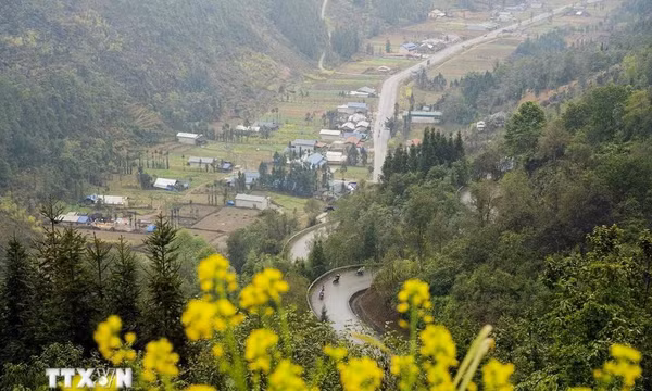 Du Xuân trên cao nguyên đá Đồng Văn