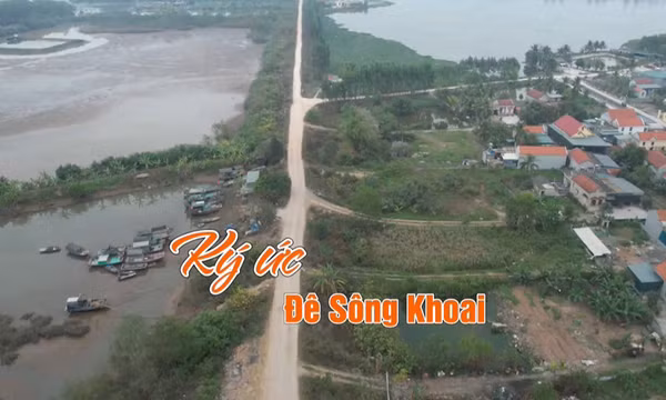 Ký ức đê Sông Khoai