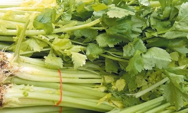 Loại rau quen thuộc là 'bạn thân' của gan nhưng nhiều người bỏ qua