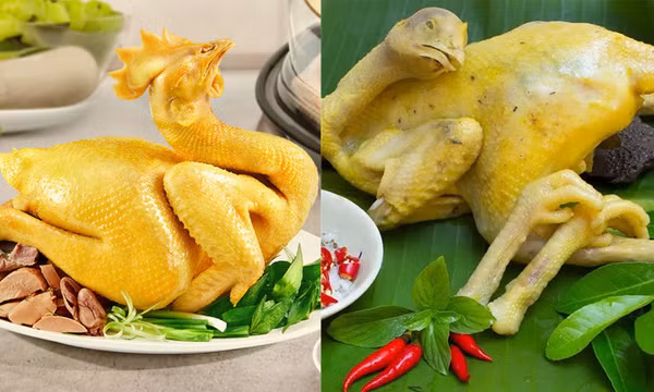 Cách nào nhận biết nông sản, thực phẩm có sử dụng vàng O?
