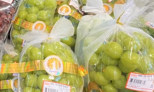 Việt Nam chi hơn 1,5 tỷ USD nhập rau quả từ Mỹ, Trung Quốc