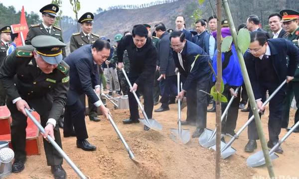 Chủ tịch nước Lương Cường phát động Tết trồng cây "Đời đời nhớ ơn Bác Hồ" Xuân Ất Tỵ năm 2025