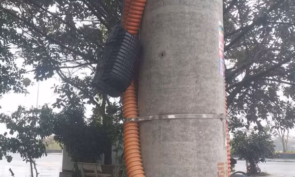 Điện lực Ninh Bình cắt cáp của SCTV, gián đoạn dịch vụ truyền hình Việt Nam trên diện rộng?